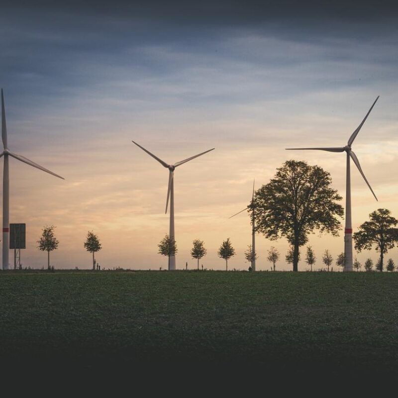 energia eolica