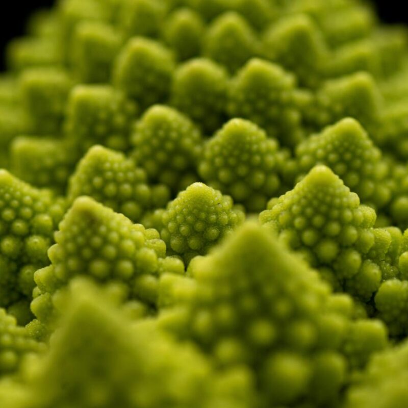 broccoli alimento che aiuta la produzione di citicolina