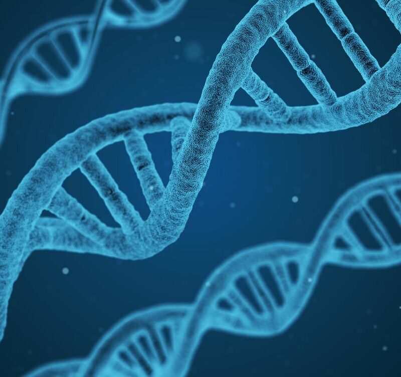 dna